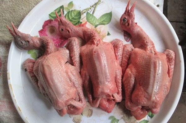 Cách hầm chim bồ câu cho bà bầu giữ chất và dễ ăn nhất | HAHUMA